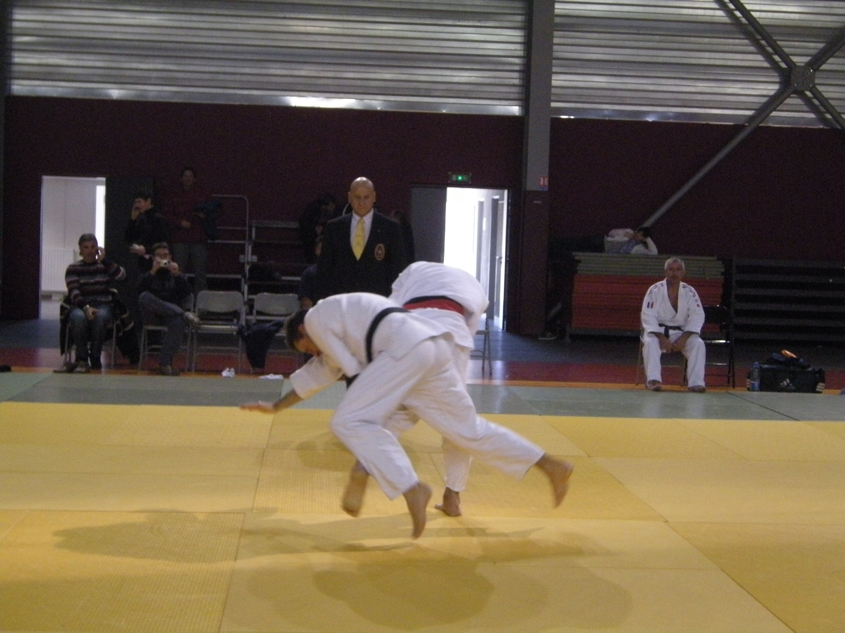 miniature combat
